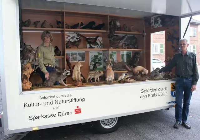 Что такое постоянная личная гарантия?