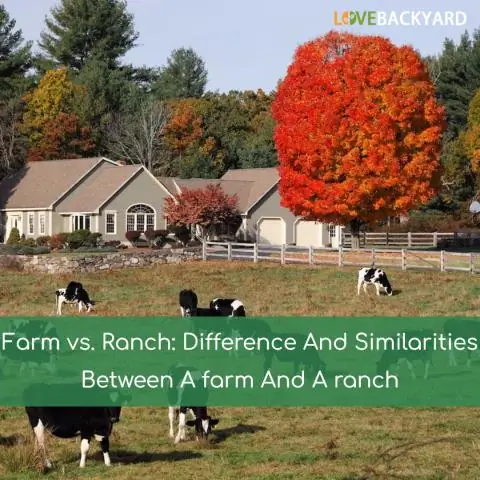 В чем разница между ранчо и приподнятым ранчо?