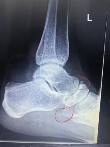 Приложение BookScouter бесплатное?