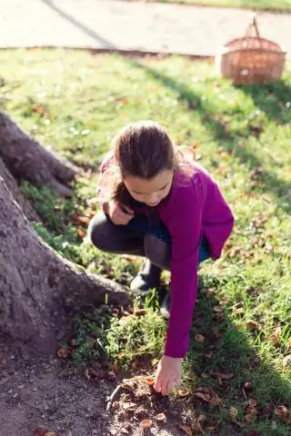 Когда мне нужно пройти последний раз?