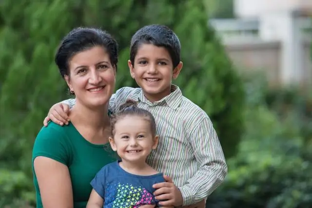 Что такое одиночная семья?