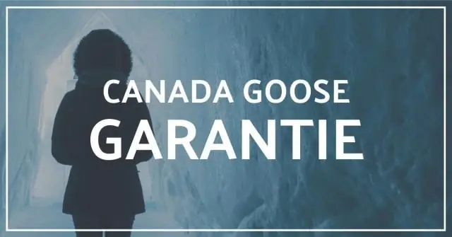 Какая гарантия дается в документе о предоставлении гранта?