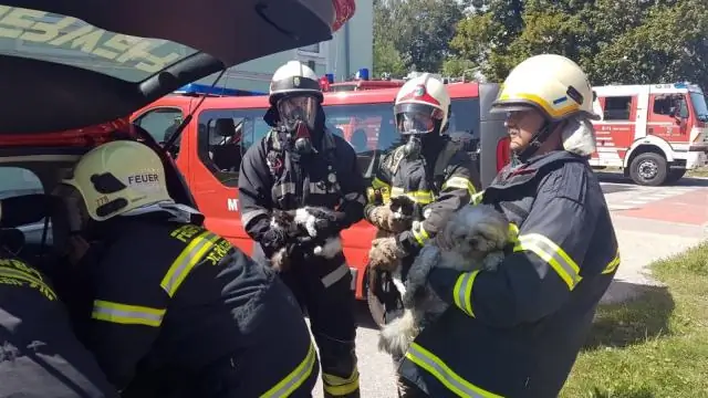Может ли домовладелец запросить номер социального страхования для моего ребенка?