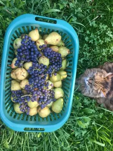 Как получить лицензию на коммерческую недвижимость?