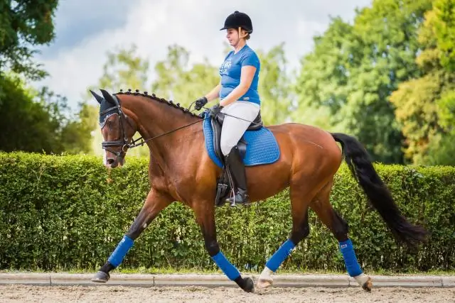 Что означает доверие?