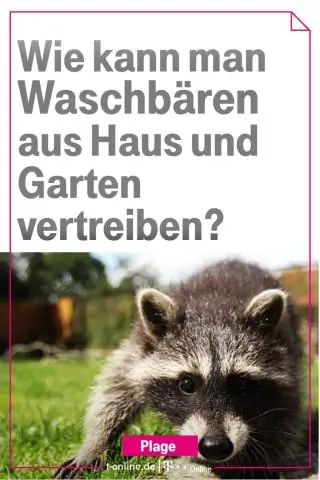 Когда вас выселяют, как долго?