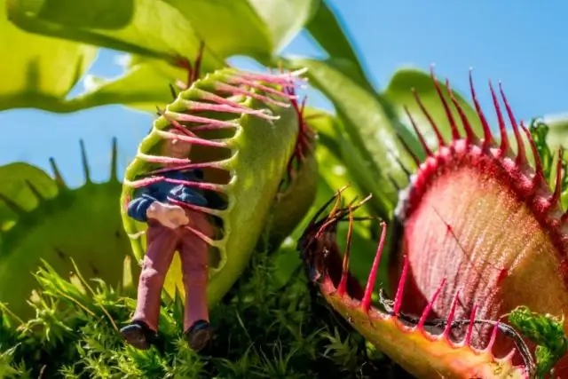 Зачем вам справка о заселении?