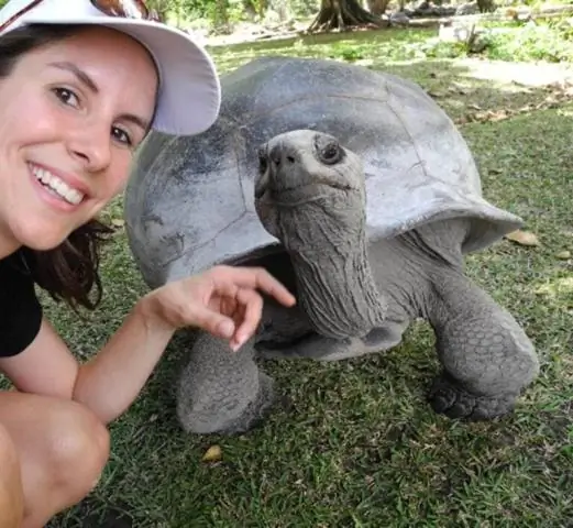 Кто может владеть брокерской фирмой по недвижимости во Флориде?