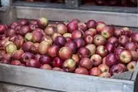 Сколько магазинов Loblaws в Онтарио?