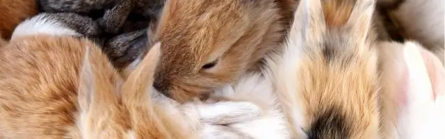 Что вам понадобится при переезде в новый дом?