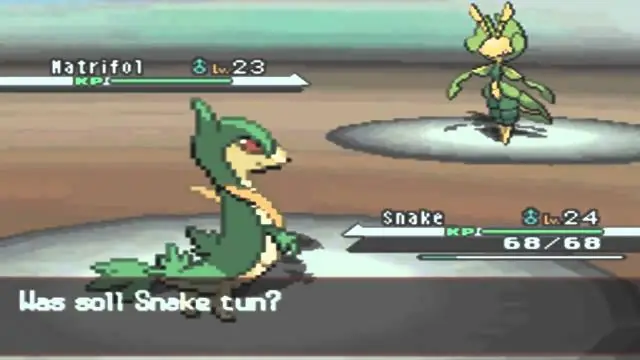 Что такое 8-й тренажерный зал в Pokemon Fire Red?