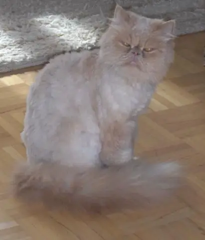 Как долго длится процесс переезда?