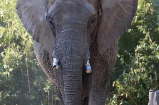 Как долго мой домовладелец ремонтирует мой кондиционер в Техасе?