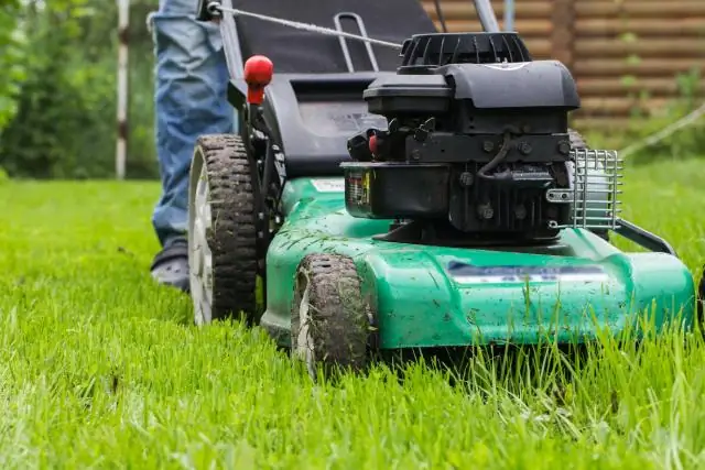 Может ли арендодатель взимать плату за профессиональную уборку?