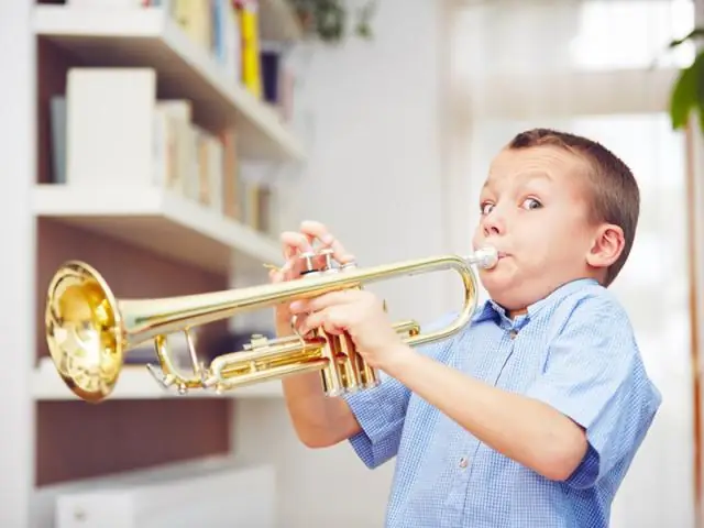 Может ли домовладелец ограничить количество посетителей с ночевкой?