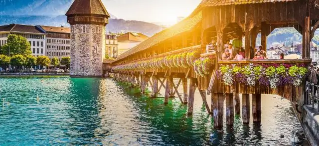 Есть ли в Ирландии сипухи?