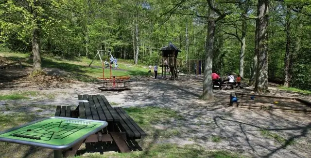 Как провести большой день открытых дверей?