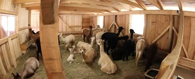 Где я могу записать акт?