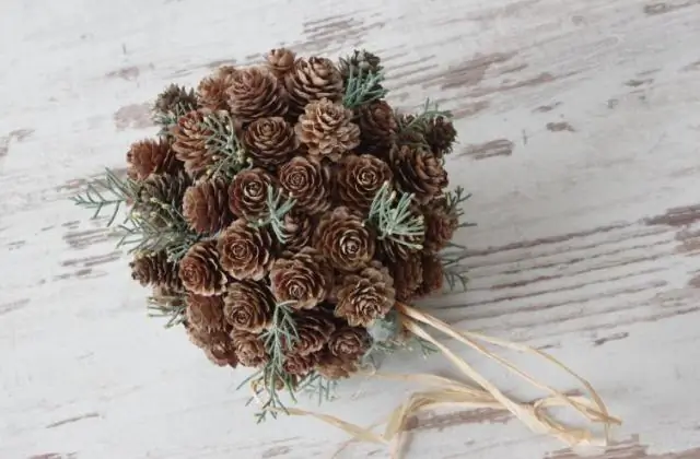 Что такое приливной дом?