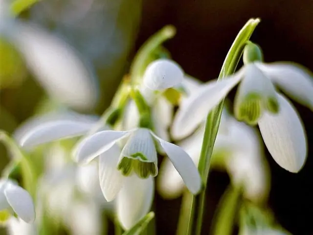 Что такое QCD в недвижимости?