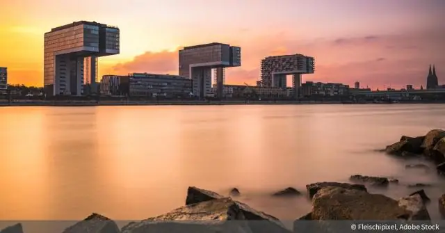 Сколько лет предложено?