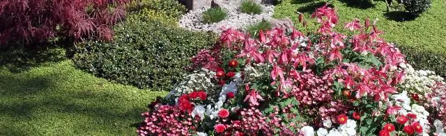 Доверительный акт - это то же самое, что и дело?