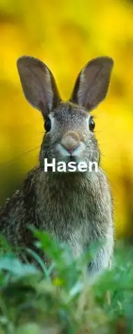 Можете ли вы сделать предложение на дом с учетом финансирования?