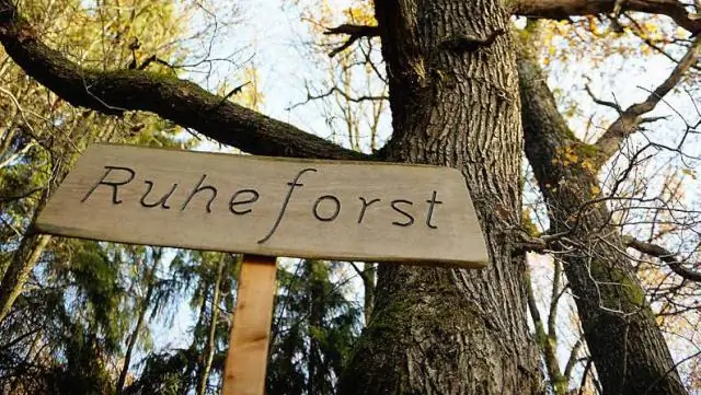 Могут ли геодезисты выезжать на частную собственность?