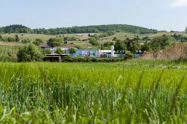 Сколько вопросов на экзамене по недвижимости в Неваде?