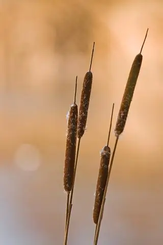 Что нужно сделать при покупке дома?