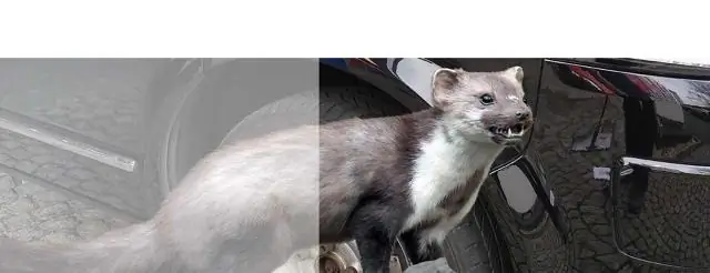 Как часто инспекторам приходится осматривать дом?