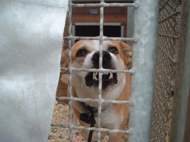 Что мне делать, чтобы продать свой дом?