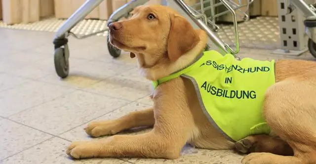 Кто имеет право на получение кредита Wheda?