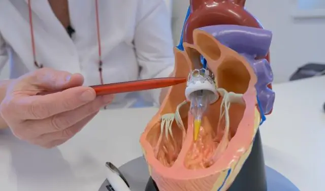 Как долго прослужит крыша из пальмовой соломы?