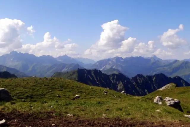 Как написать простой договор на оказание услуг?