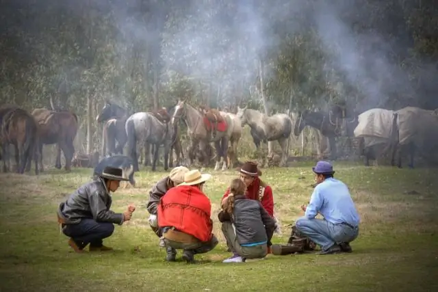 Что такое гаучо по-английски?