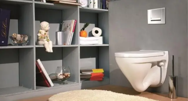 Для чего нужен унитаз удлиненной формы?