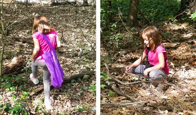 Почему пингвины гнездятся на земле?