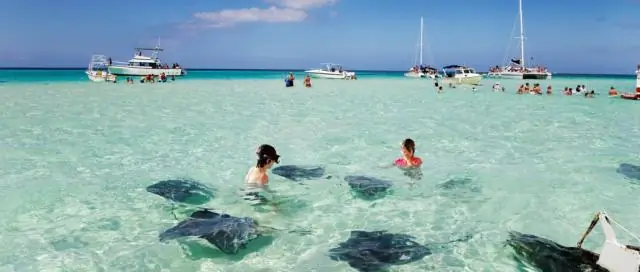 Какие круизные линии отправляются из Пуэрто-Рико?