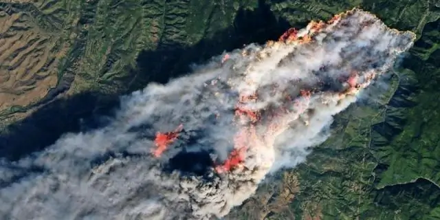 Сгорела вся Райская Калифорния?