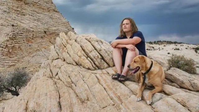 Какие интересные факты о регионе Среднего Запада?