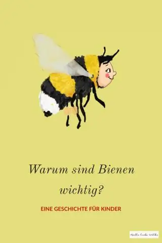 Почему так важны берберийские пираты?
