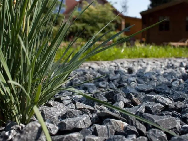 Что мне нужно знать перед медовым месяцем?