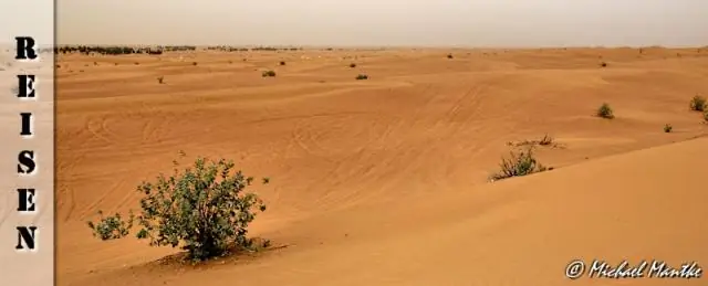 Сколько стоит сафари по пустыне в Дубае?