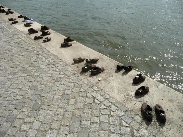 Ботинки на Дунае настоящие?