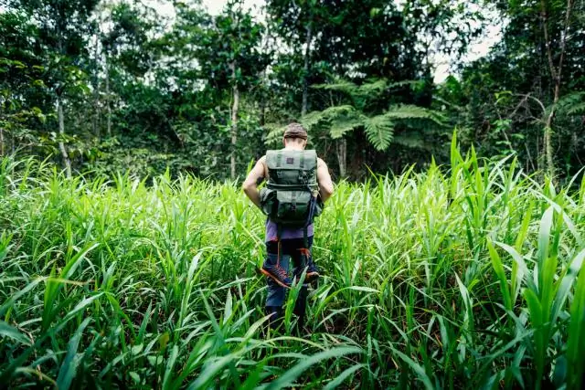 Какие продукты происходят из тропических лесов Амазонки?