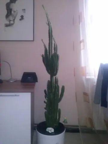 Как сейчас называется Формоза?