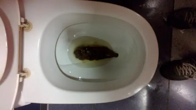 Что такое 10 грубостей в туалете?