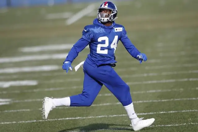 Где начинается «Аллея гигантов»?