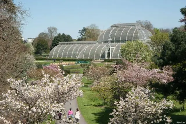 Могу ли я оставить багаж в Kew Gardens?